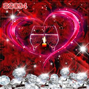 5'x8' SS094